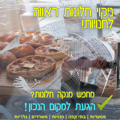 ניקוי חלונות בגובה